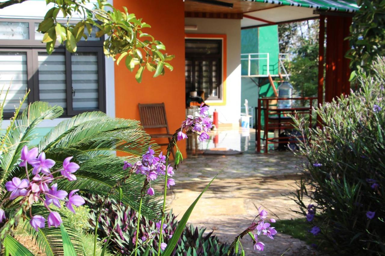 Bobbyfarm Apartment Gia Nghia Ngoại thất bức ảnh